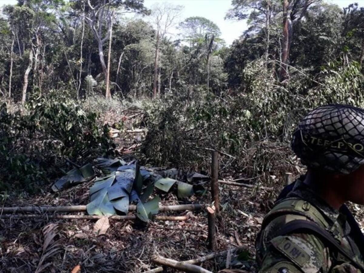 Fiscalía imputa a 5 personas por deforestación en zona de reserva indígena, en Guaviare