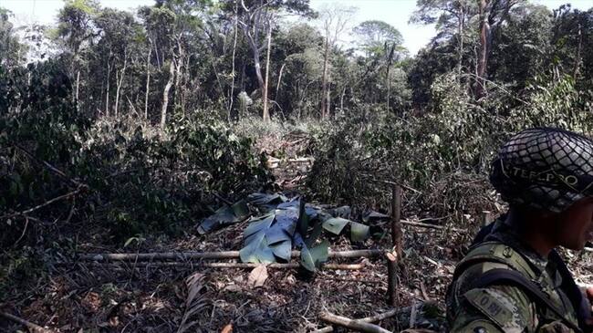 Fiscalía imputa a 5 personas por deforestación en zona de reserva indígena, en Guaviare. Foto: La W