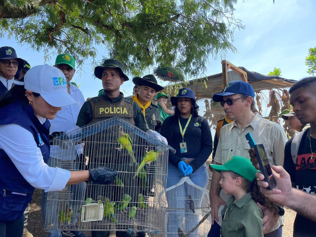 Cardique lideró jornada de liberación de diversas especies en Bolívar