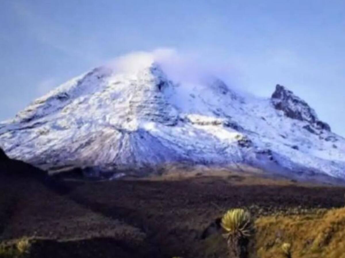 Ultimátum al Gobierno para protección y conservación del Parque Los Nevados