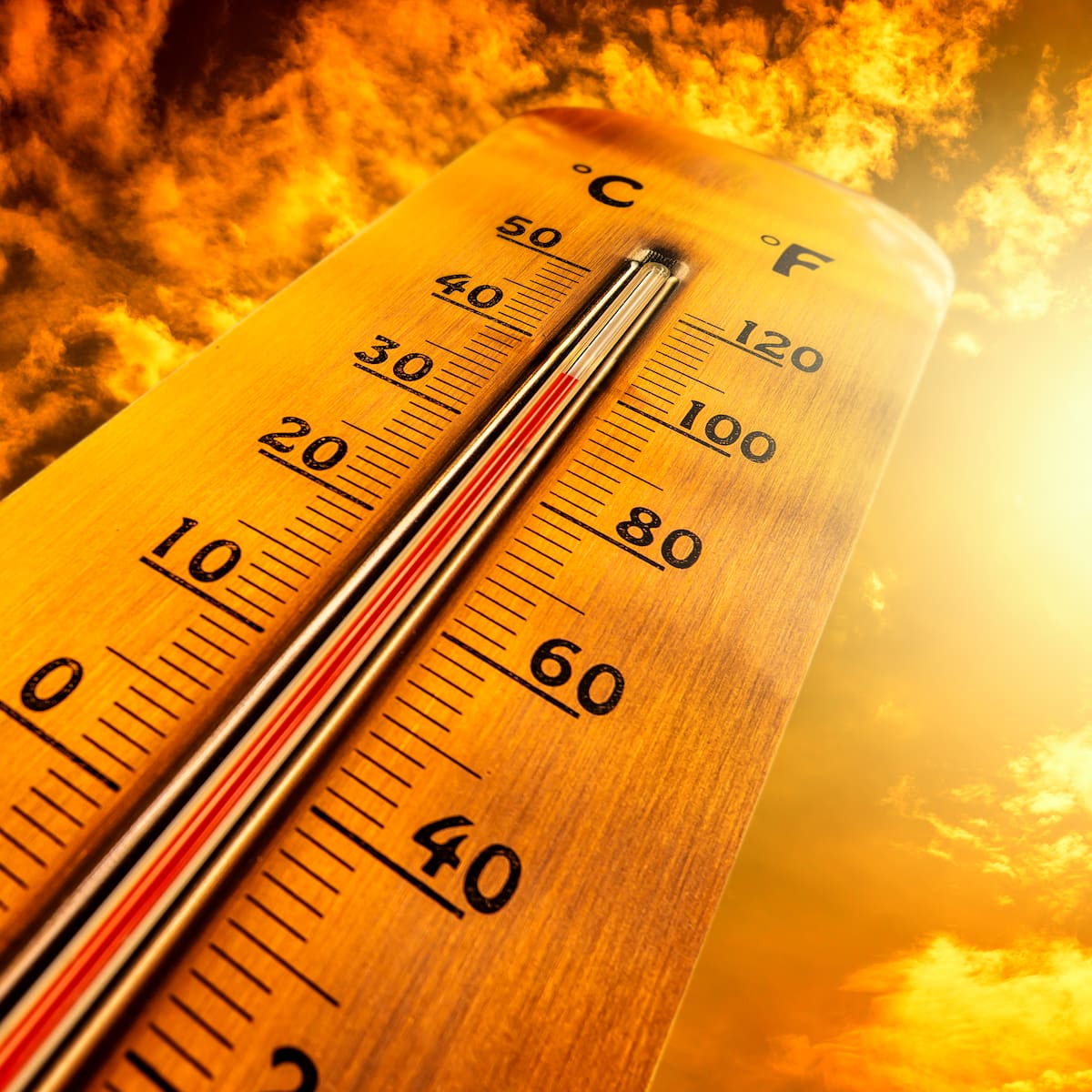 Un julio de calor récord en regiones donde viven 900 millones de personas