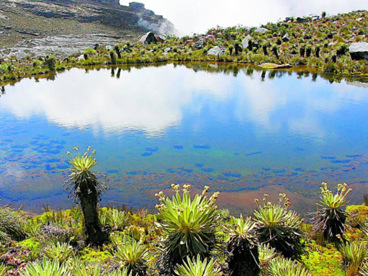 Distrito destinará $10 mil millones para la adquisición de predios en el Páramo de Sumapaz
