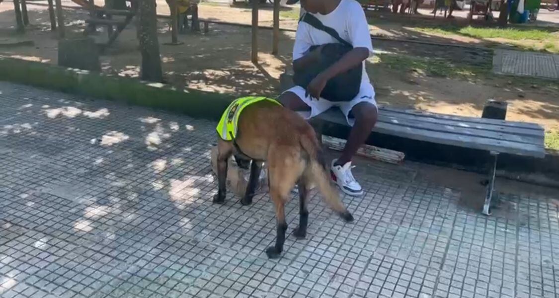 Departamento de Policía Bolívar