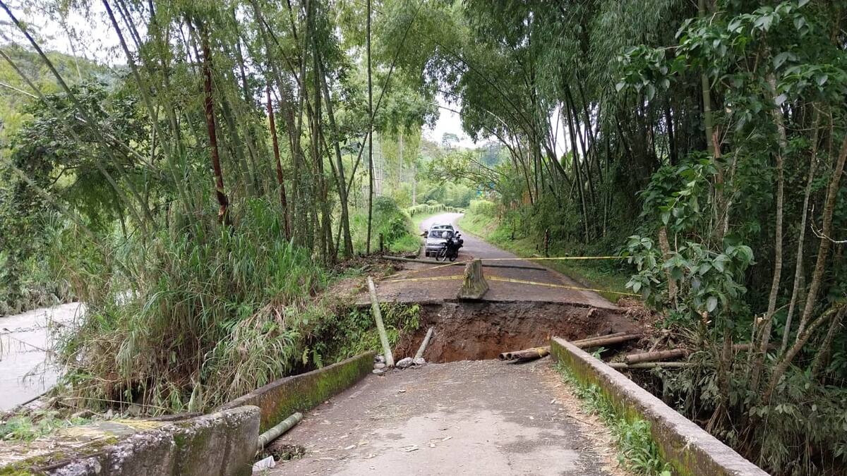 Gerente de la Empresa Proyecta