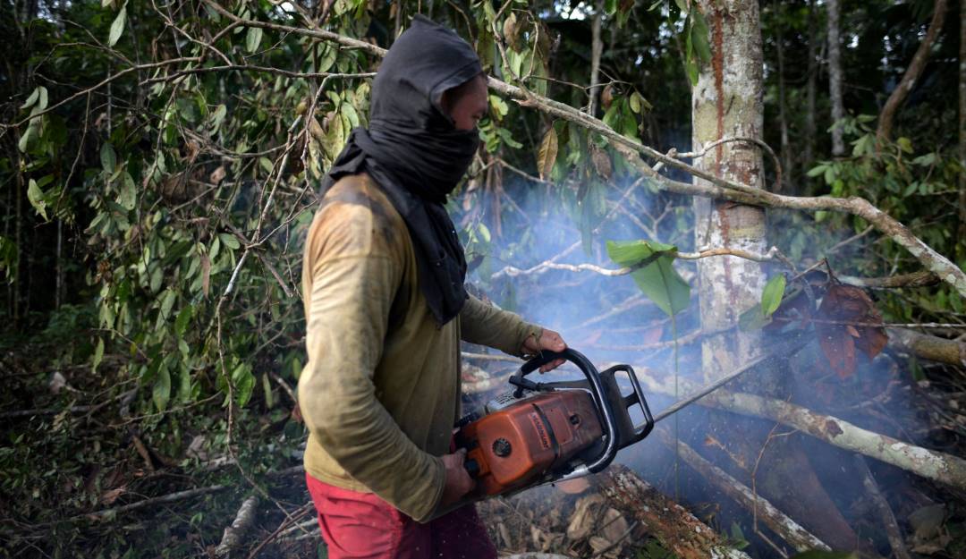 Tala de bosques en el Guaviare, Colombia.                   Foto: Getty 