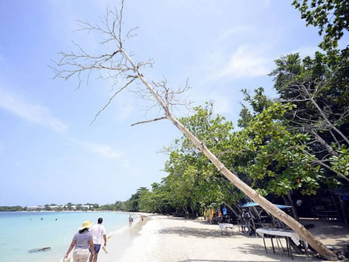Rifirrafe entre alcaldía de Cartagena y Parques Naturales por peaje de Barú