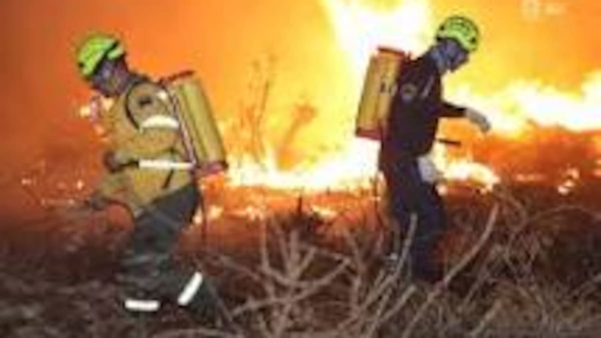 Autoridades alertan sobre incendios forestales provocados en zonas rurales de Neiva