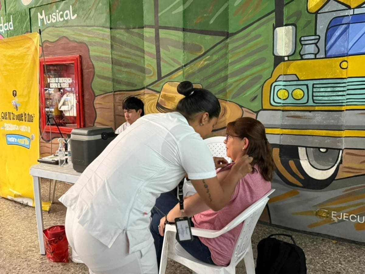 Procuraduría alerta por el riesgo de contagio de fiebre amarilla en el Tolima en Semana Santa