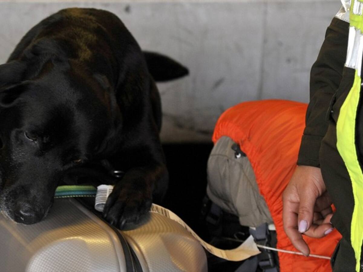 Pasajeros del “narco” jet solo pasaron por revisión de migración