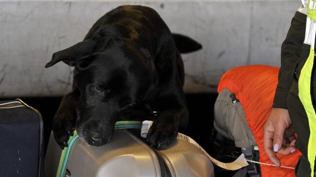 La Policía sí estaba enterada de la salida de este vuelo y que, por alguna razón, decidieron que no era necesaria su inspección. Foto: Getty Images