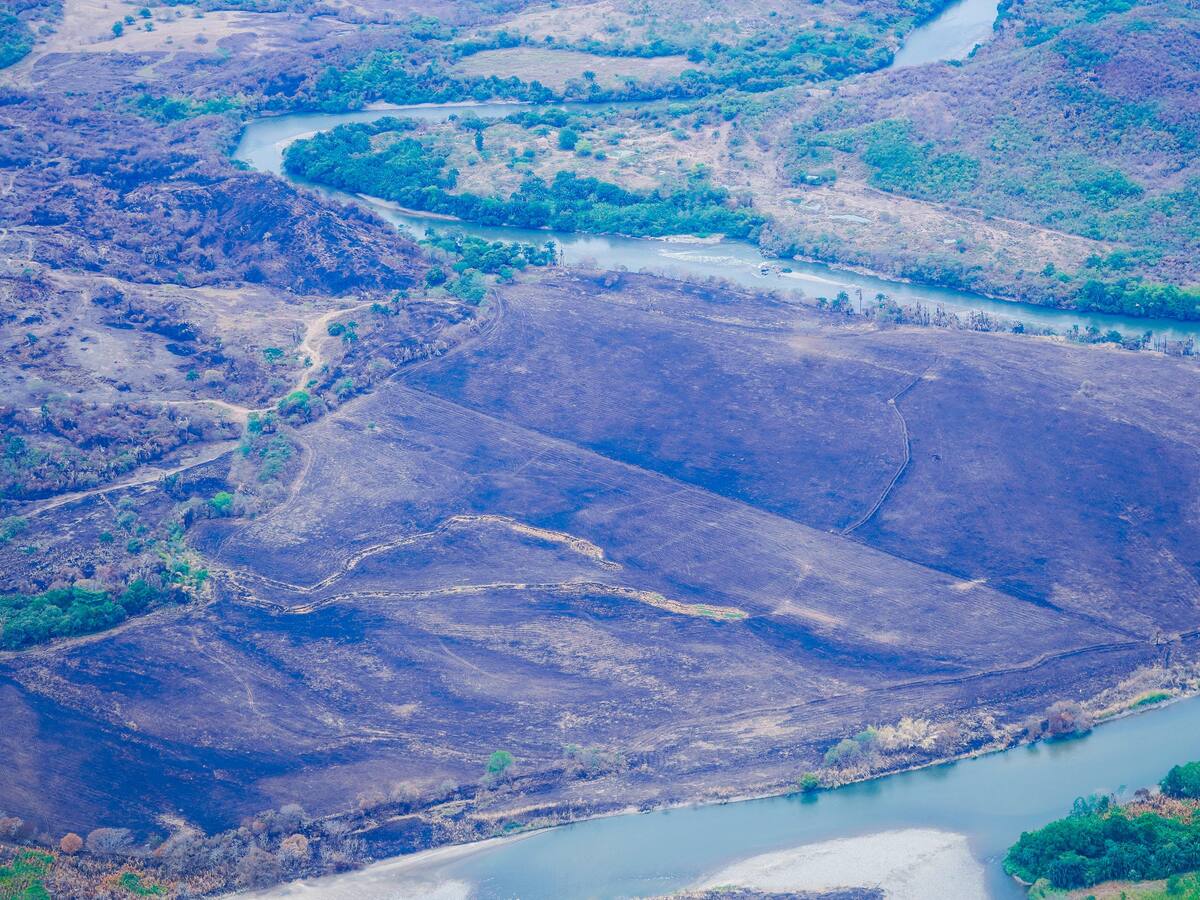 “Incendios del Tolima están controlados”: Director UNGRD