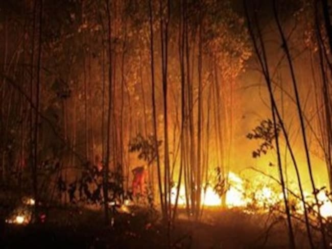 Alarma por alta cifra de incendios forestales en Armenia durante el 2013