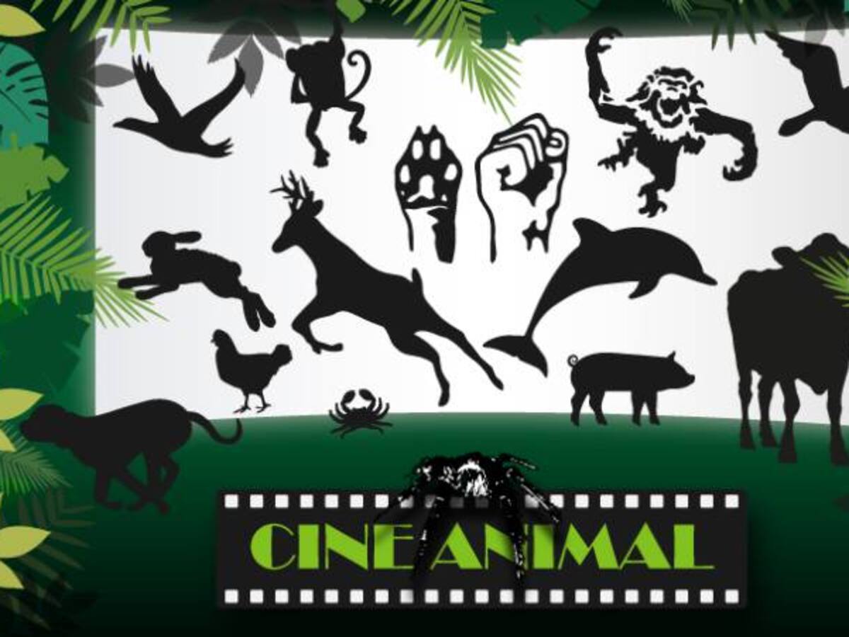 Los animales serán los protagonistas de la primera edición del “Festival de cine animal”