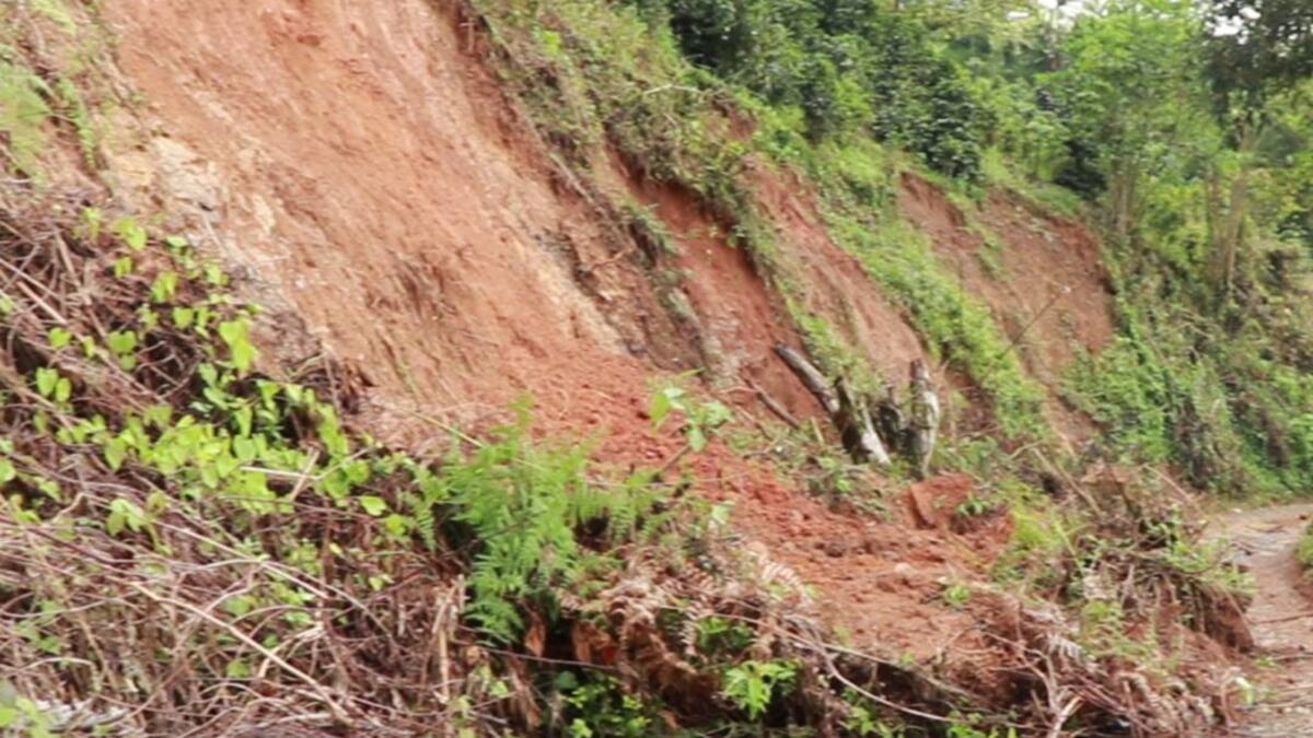 14 viviendas afectadas por lluvias en Concordia