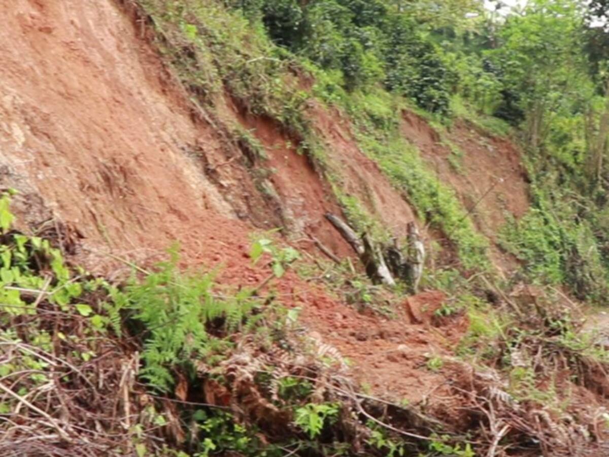 14 viviendas afectadas por lluvias en Concordia
