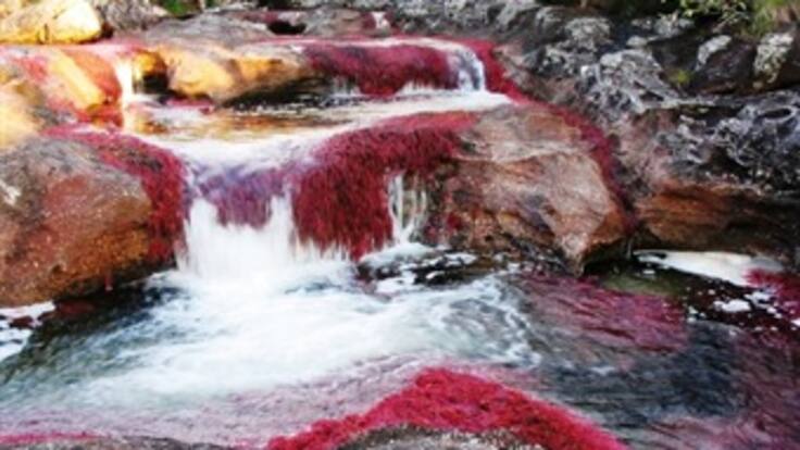 Ronda de ciudades: Estado de los cuerpos de agua en Colombia