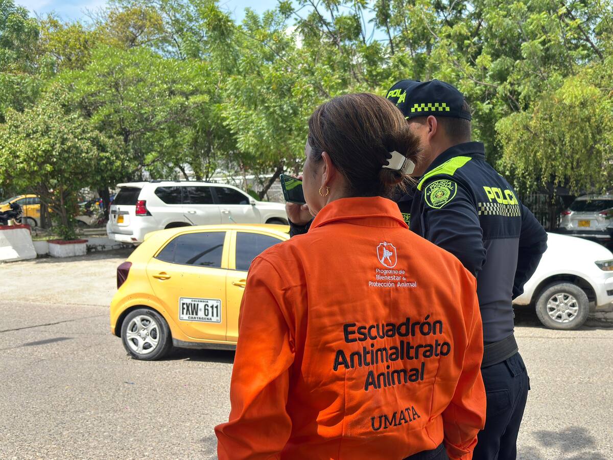 Capturado hombre que habría atacado a un perro de varias puñaladas en Cartagena