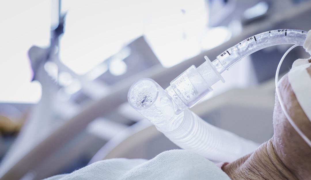 Imagen de referencia