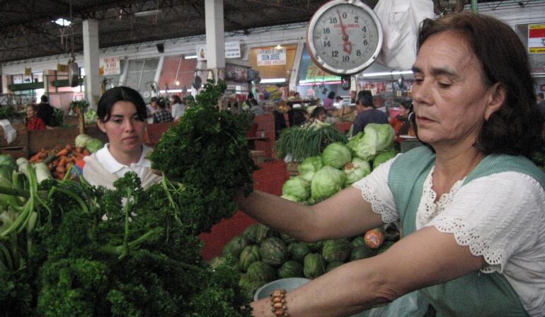 En busca de buena oferta y mejores precios