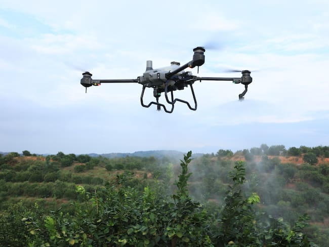 Cortesía: Drone Innovation