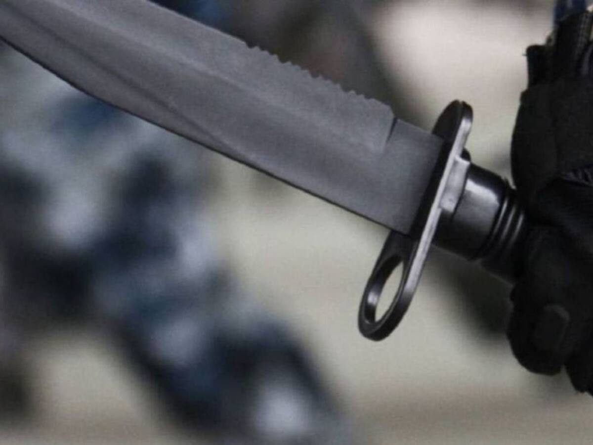 Mujer mató a un perro con arma blanca en Ibagué