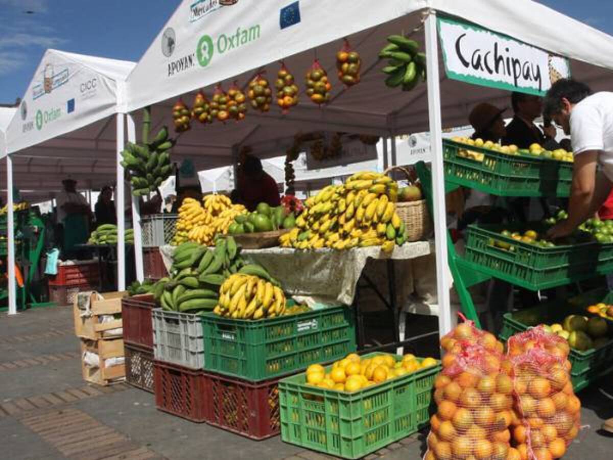 La inflación este mes es una mula atravesada en la economía: MinAgricultura