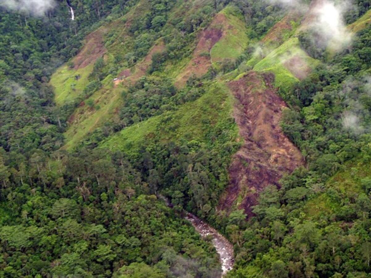 Reportan combates entre las ACSN y Clan del Golfo en zona de Palmor de la Sierra