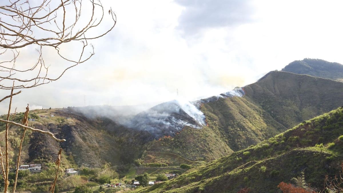 Incendio forestal en Pilas del Cabuyal, oeste de Cali, deja dos bomberos lesionados