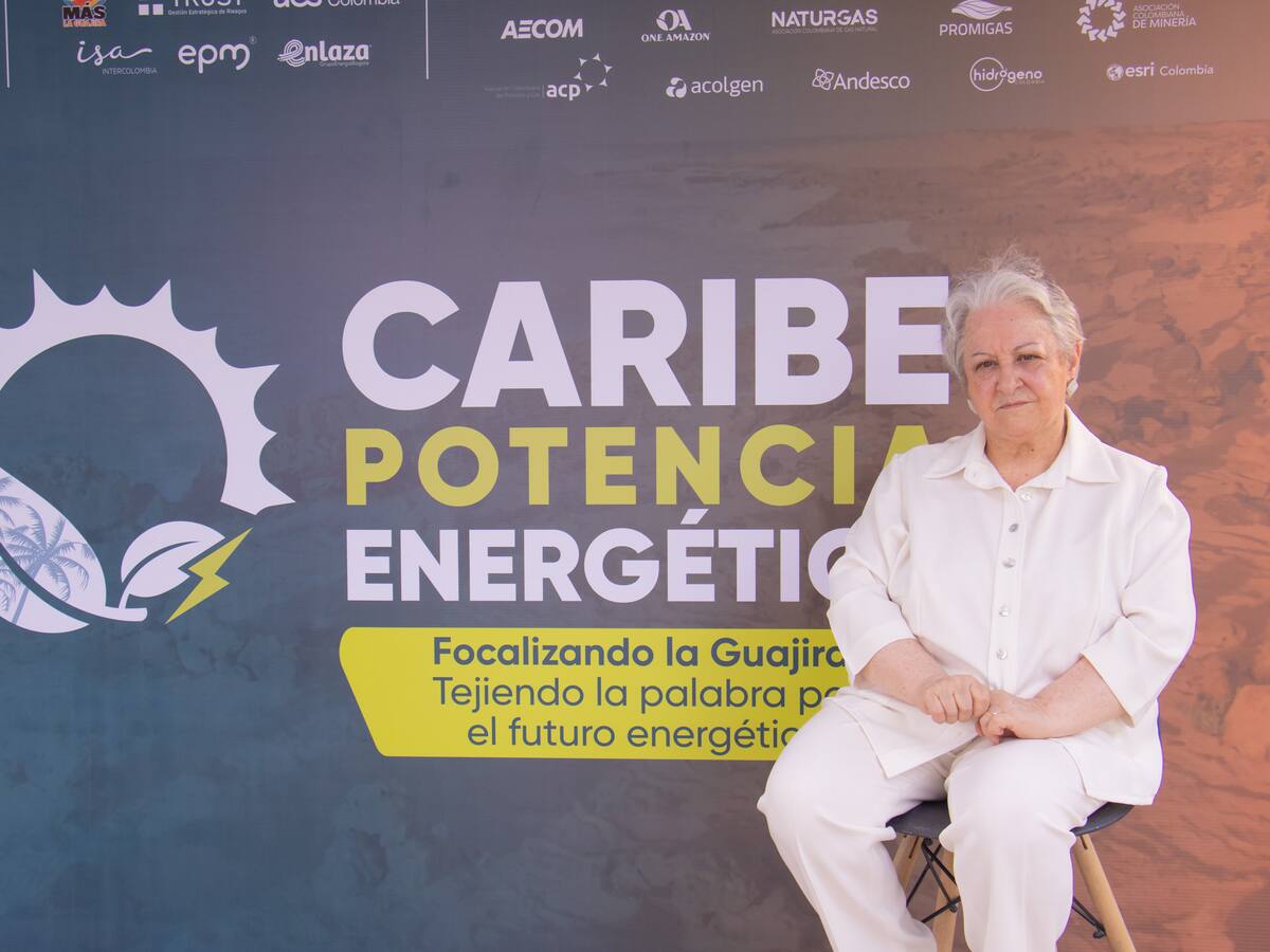 “Sin confianza no hay transición energética posible”: Esther Sánchez Botero