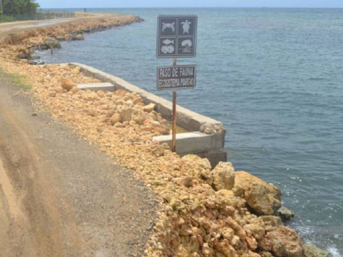 “No se piden indemnizaciones”: Consorcio Vial Isla Barú sobre Playetas
