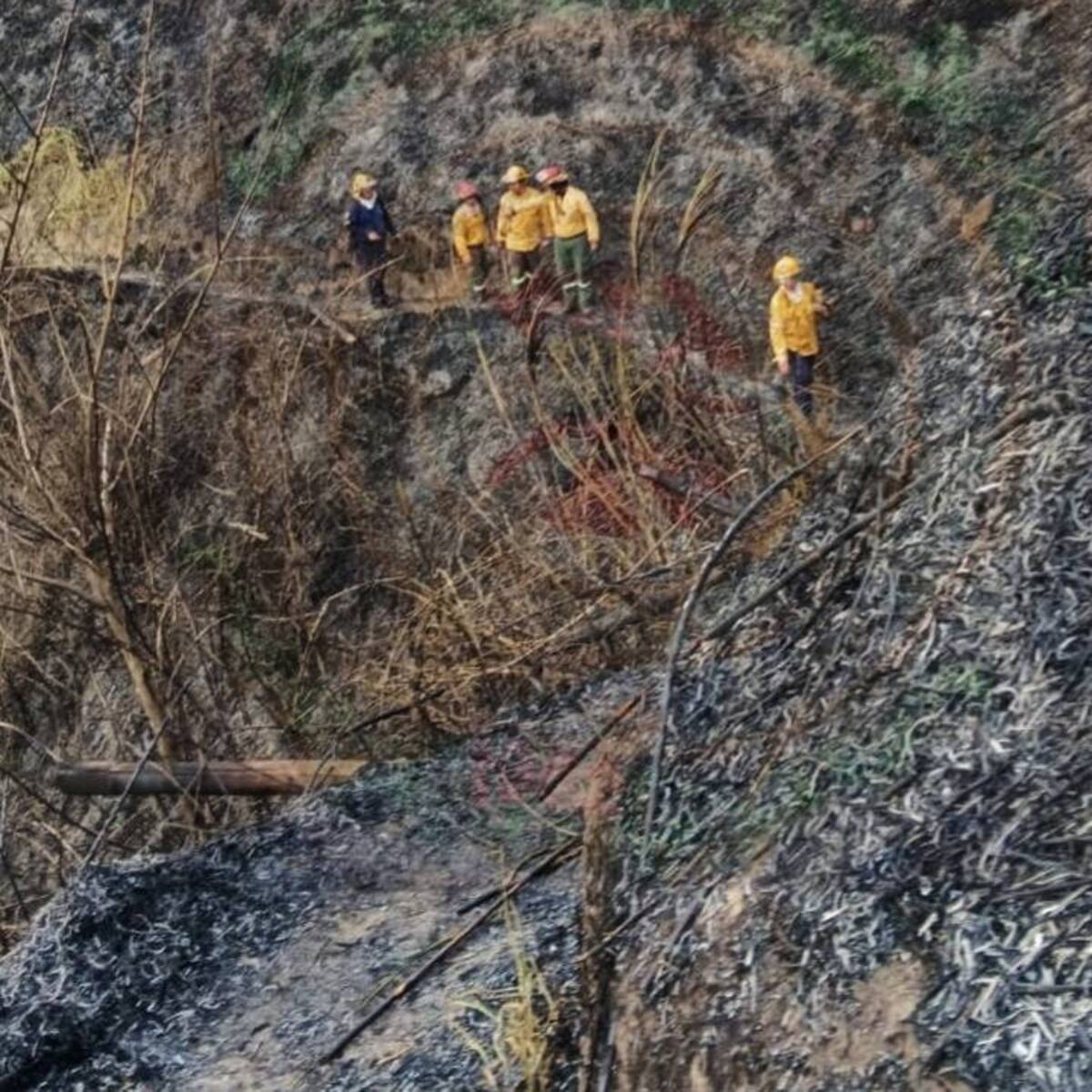 Un incendio forestal en Anserma, Caldas afectó dos hectáreas de cultivos de café y caña