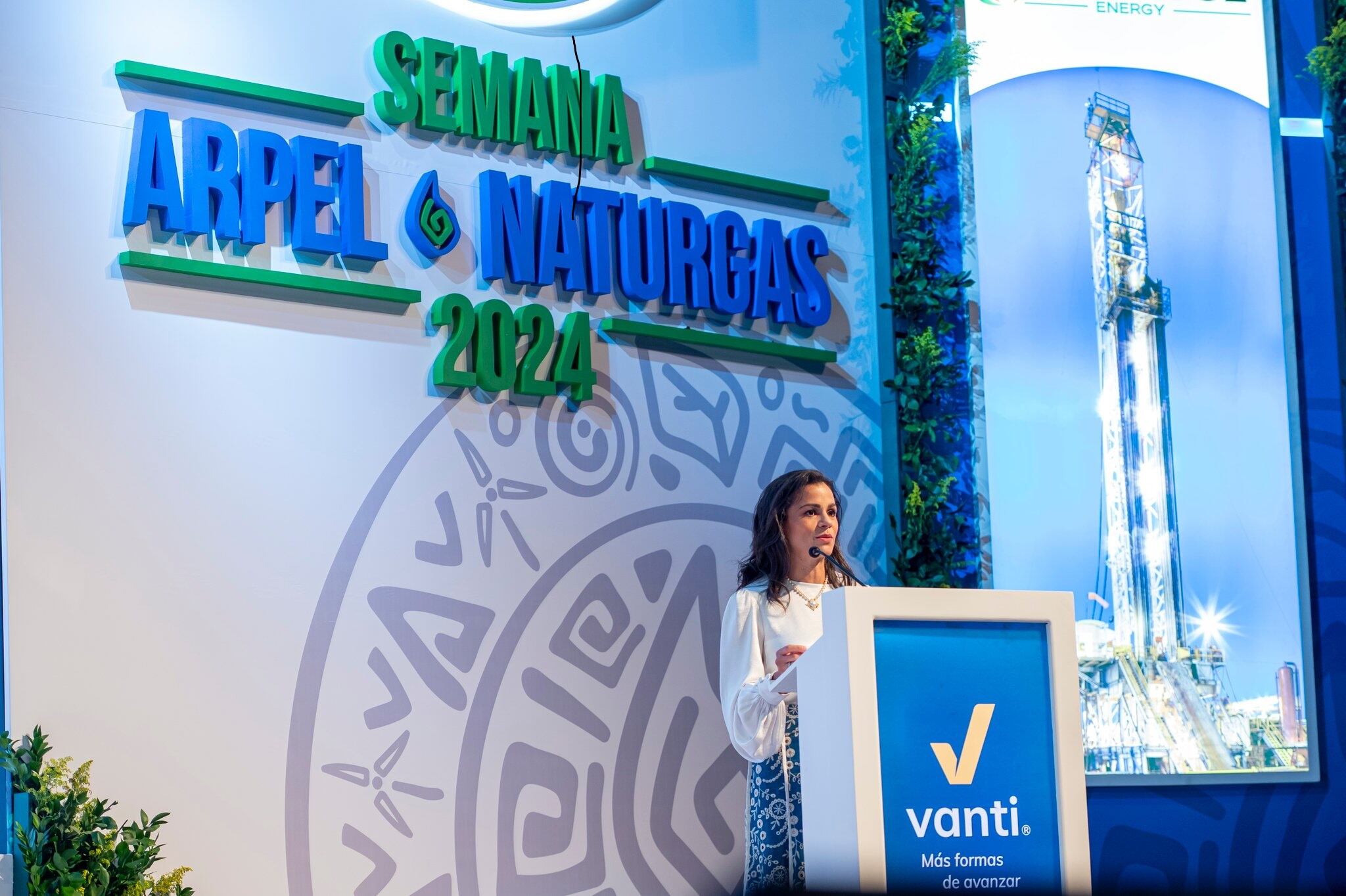 “Hay que incrementar la exploración y habilitar las fuentes externas”: Naturgas