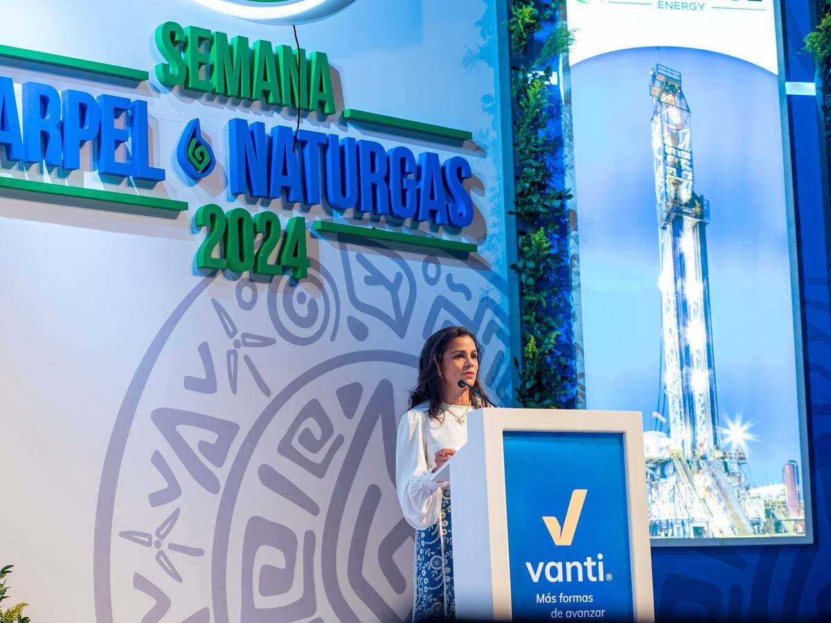 “Hay que incrementar la exploración y habilitar las fuentes externas”: Naturgas