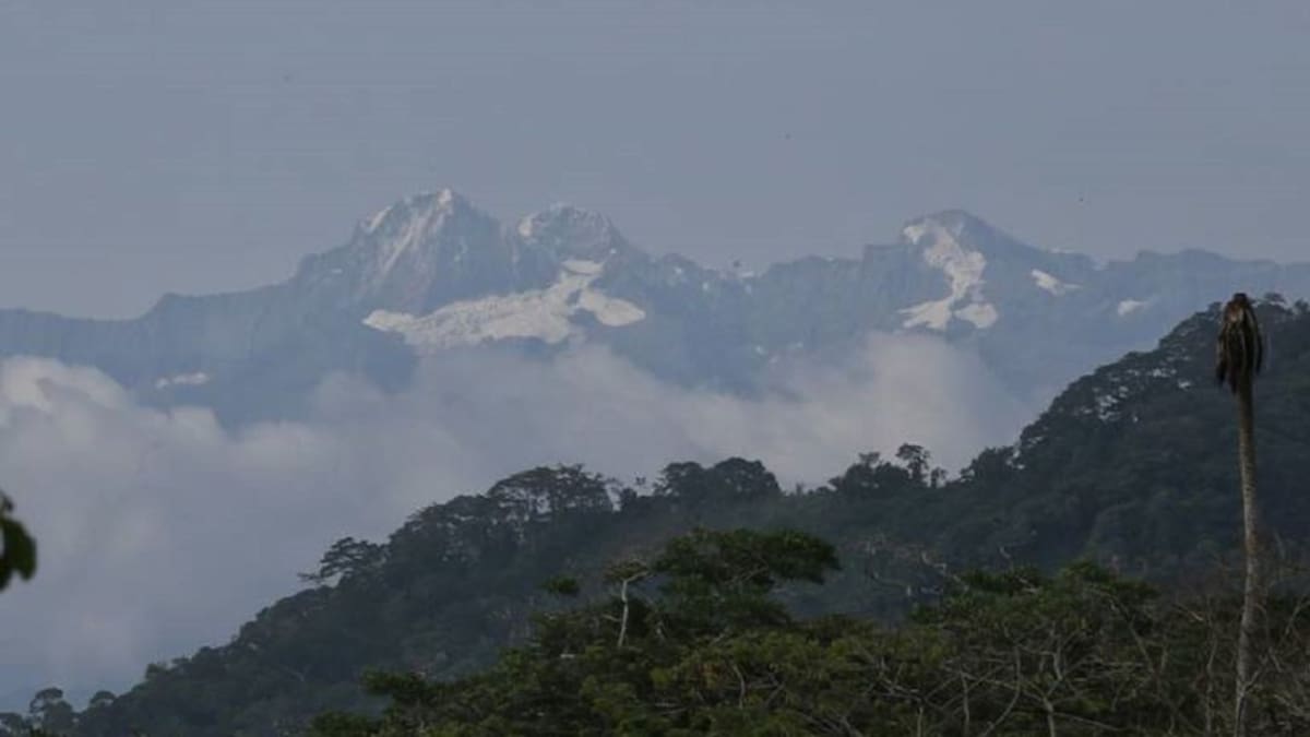 El grito de la Sierra Nevada de Santa Marta