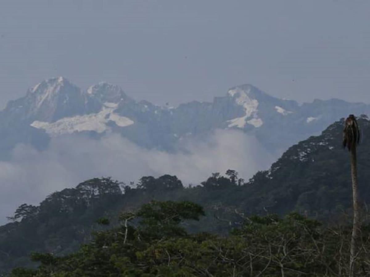 El grito de la Sierra Nevada de Santa Marta
