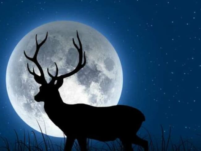 Luna de ciervo / Foto vía: Internet