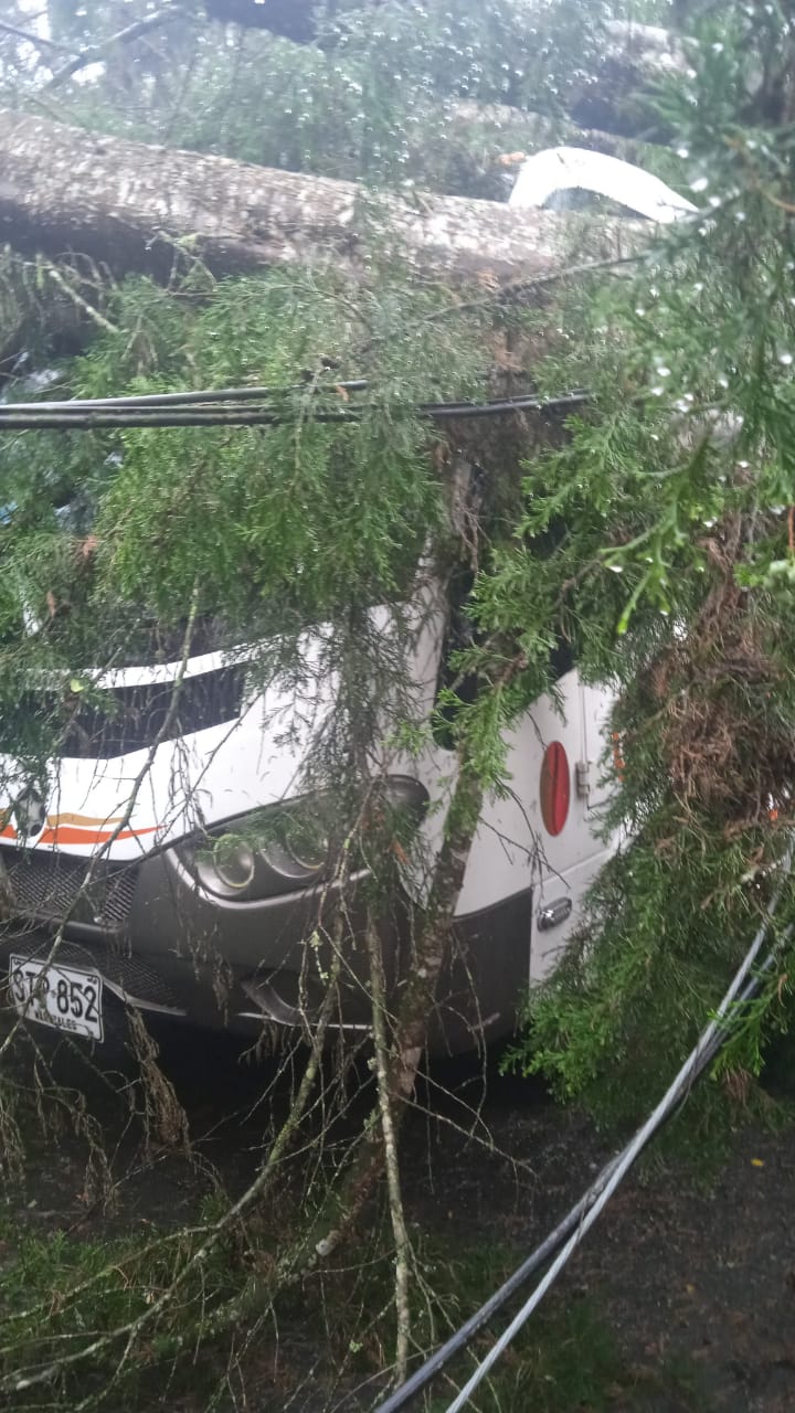 Crédito: Suministrada.