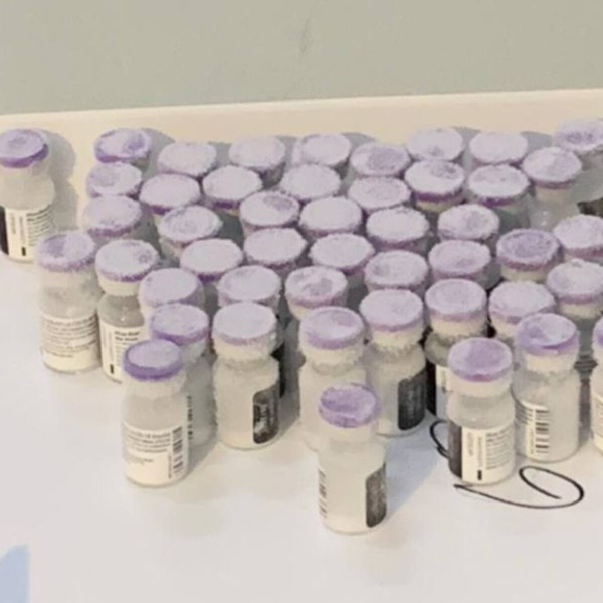 Se pierden más de 100 vacunas de Pfizer por romper cadena de frio en Cali