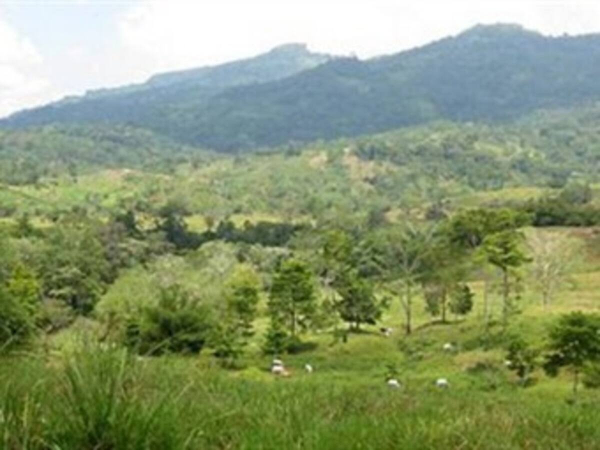 No hay bienes para tanta víctima: Fiscalía