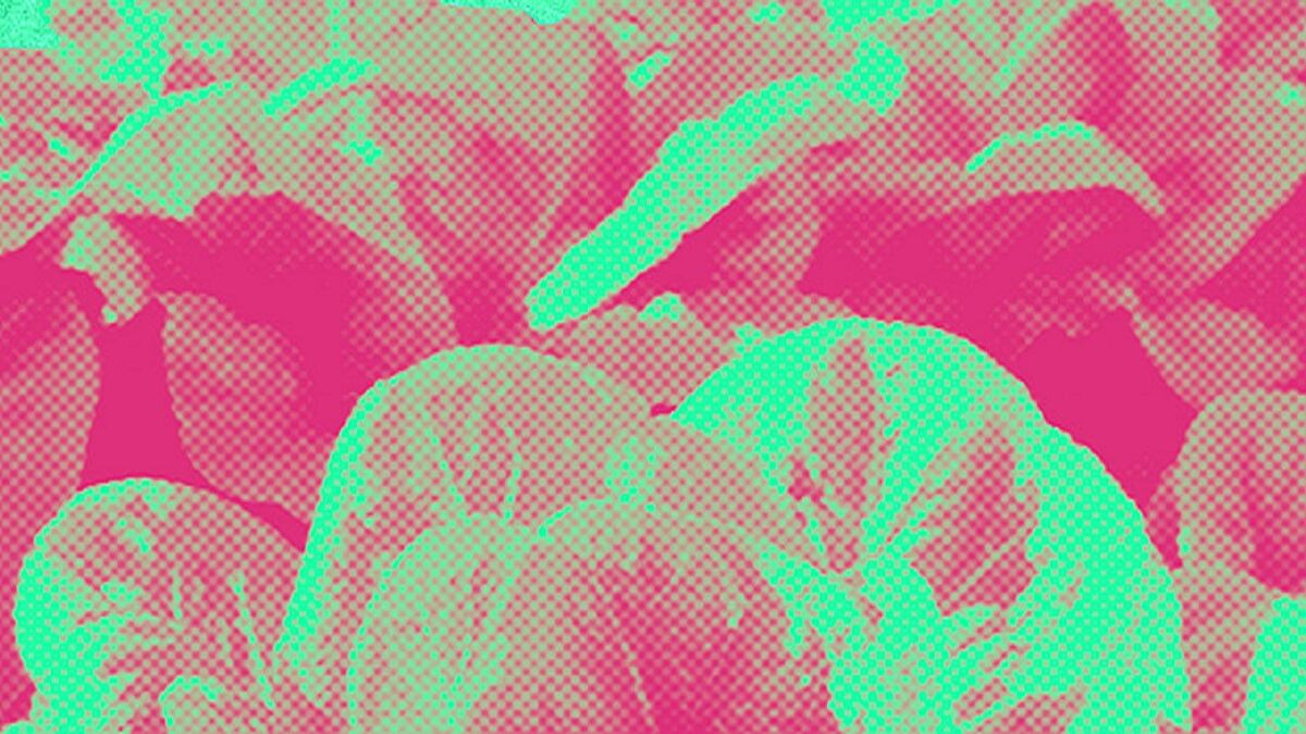 Cortesía: Revista COMFAMA