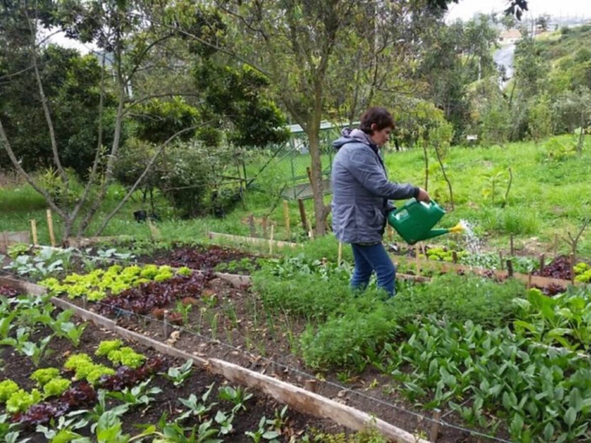 Proyecto agroalimentario ha beneficiado 25 mil productores en Antioquia
