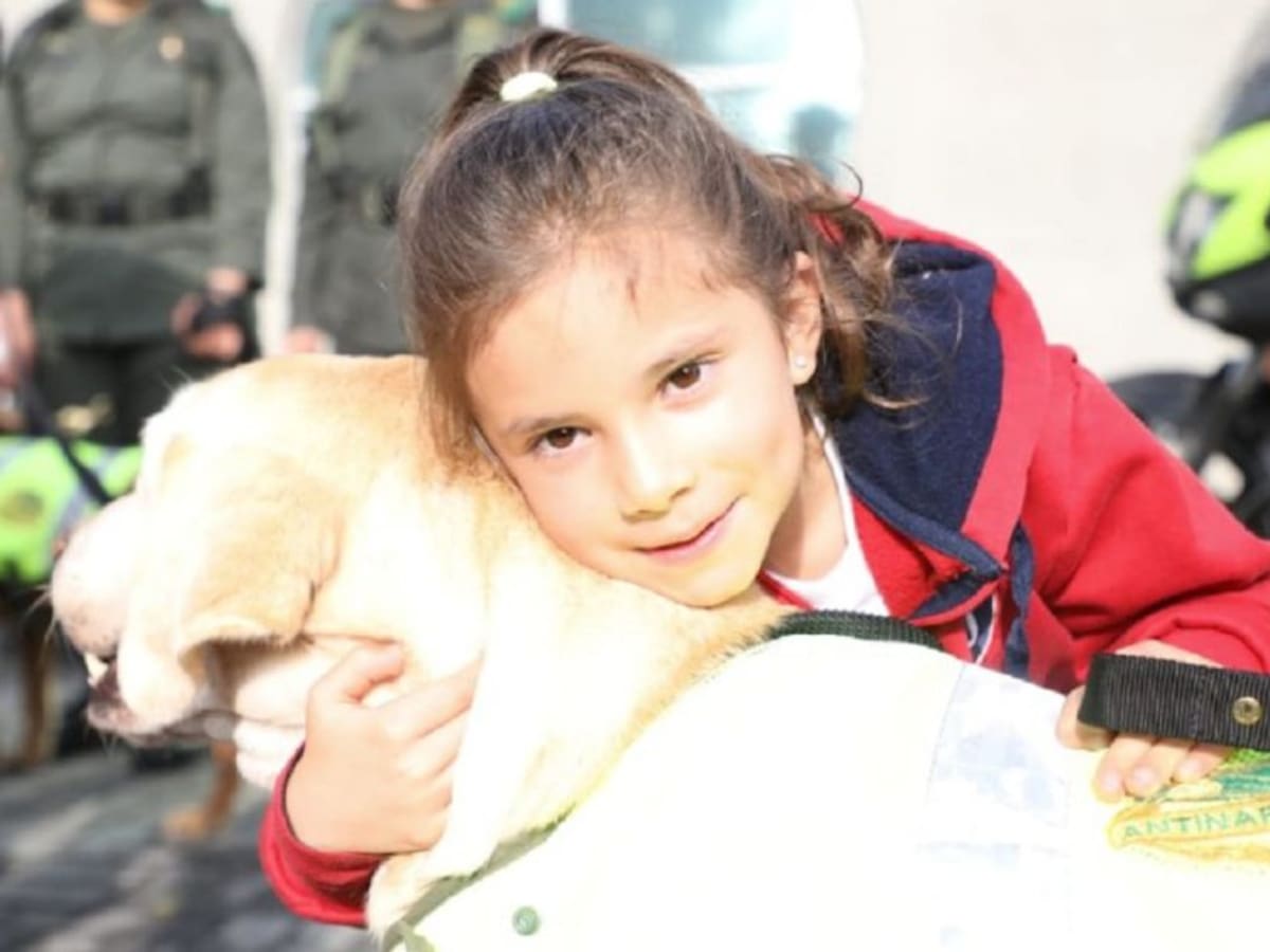 Héroes de cuatro patas jubilados encontraron un hogar