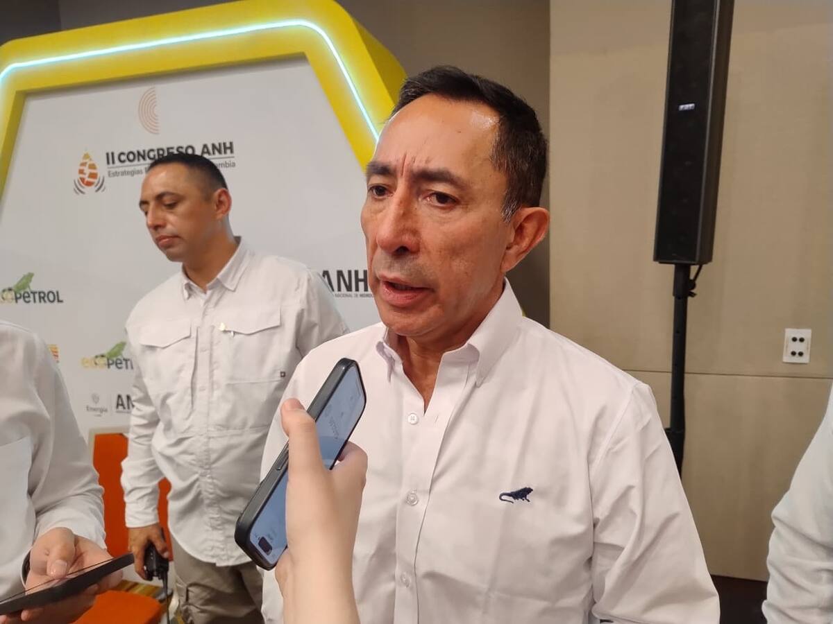 “No descarto que una Monómeros recuperada sea aliada importante de Ecopetrol”: presidente Roa