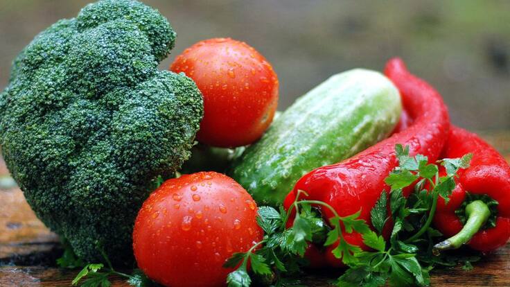 La alimentación sana ayuda al control y prevención de cáncer en los niños.