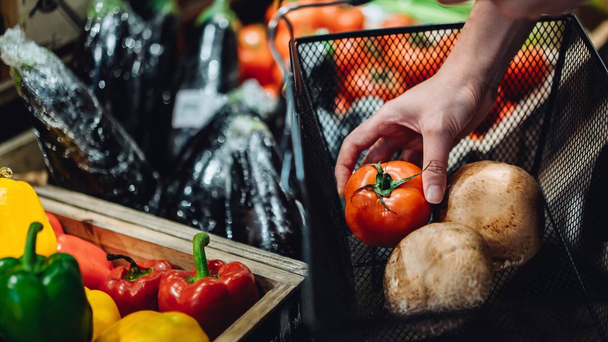 Propuesta para congelar precios de canasta familiar, ¿cómo afecta a los productores?