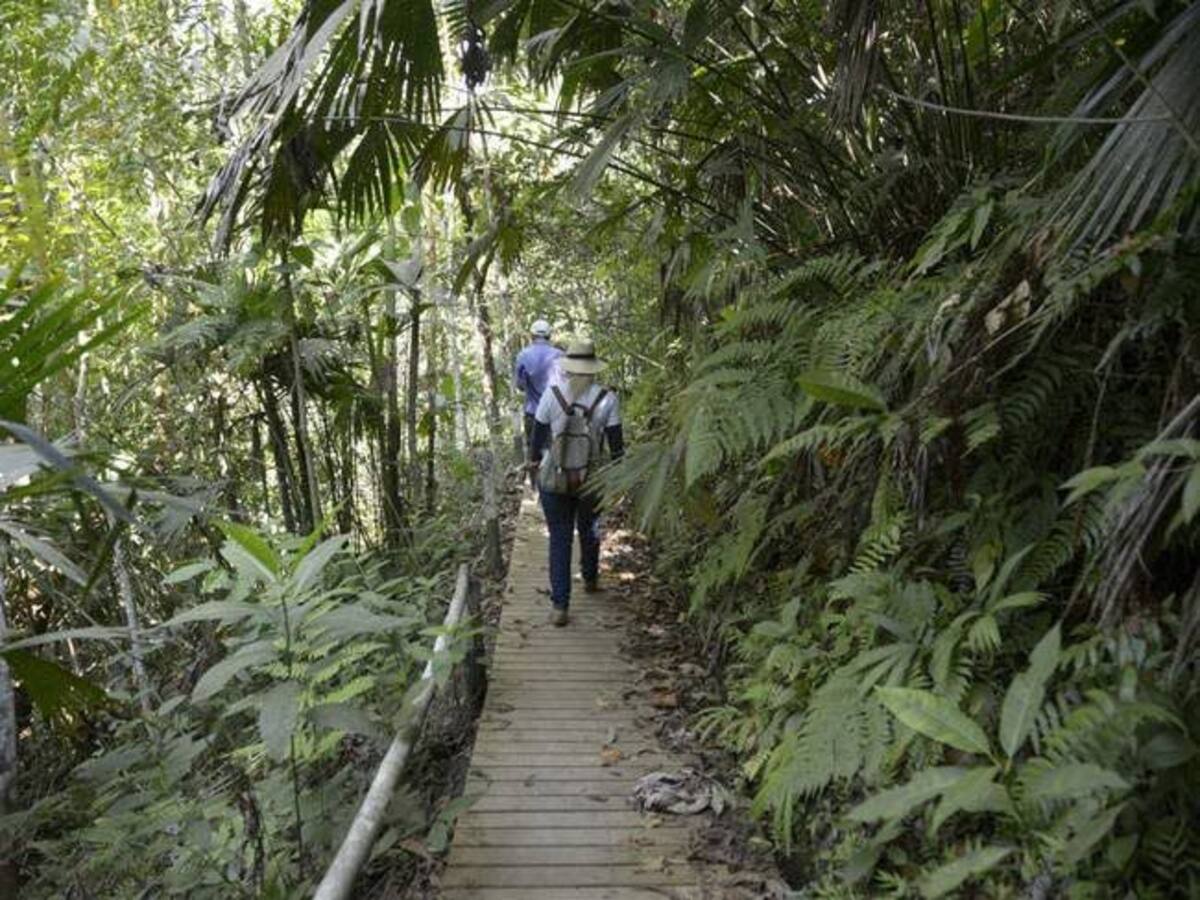 Habitantes de La Virginia harán una manifestación por la defensa del bosque Guásimo