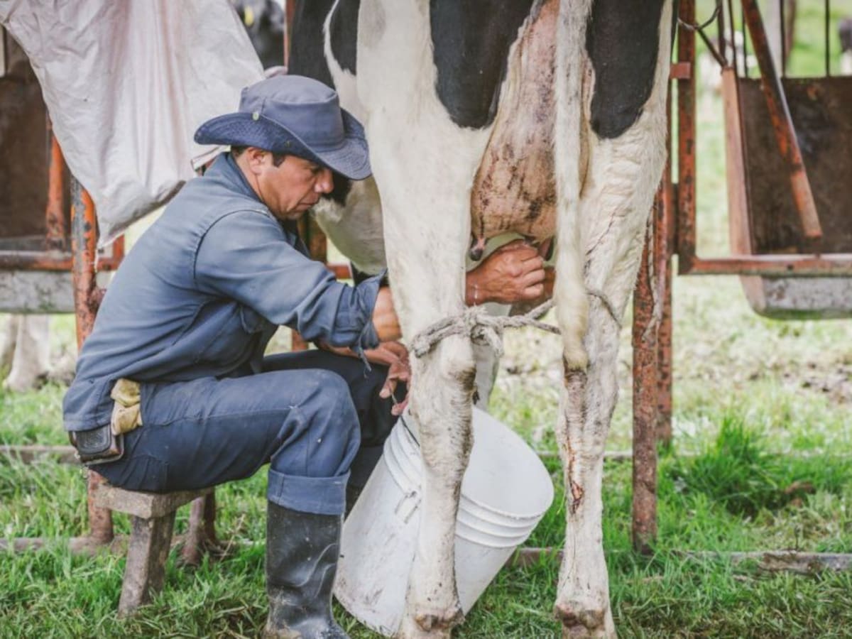 Precios de la leche con incrementos de un día para otro