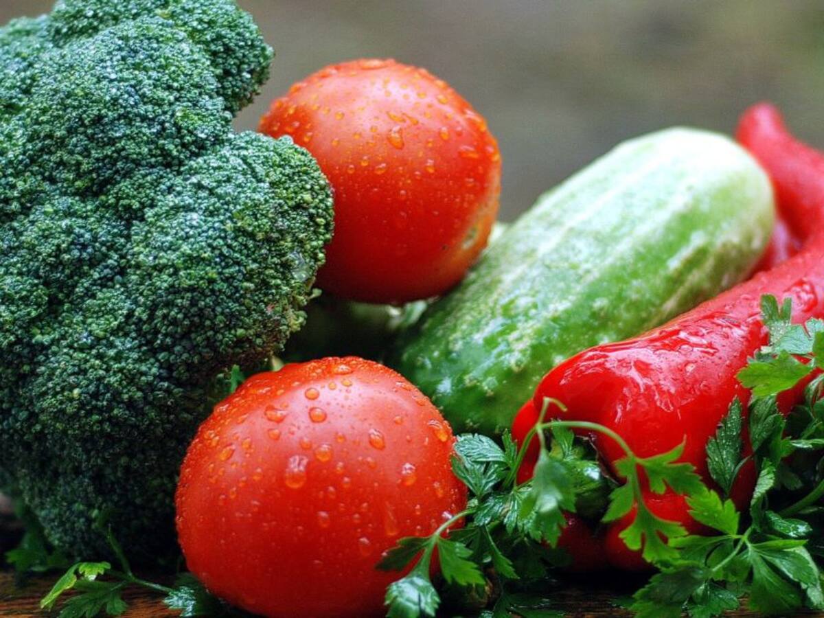 Importancia de la alimentación en tiempos de cuarentena