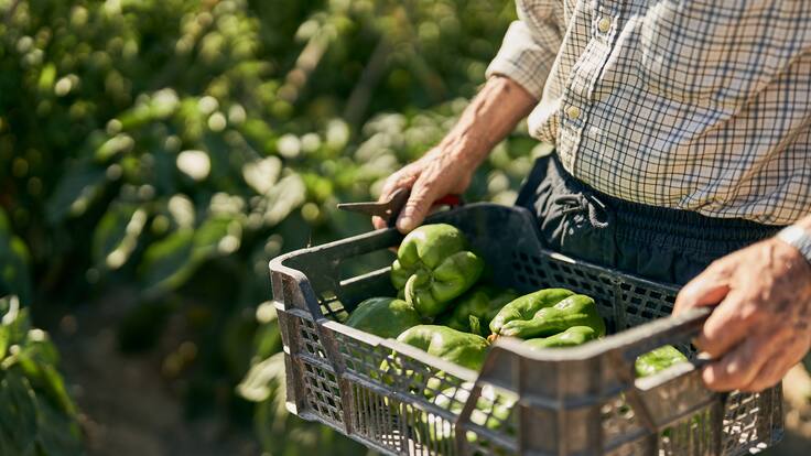 ¿Cuál es el panorama de los agricultores en Cundinamarca?