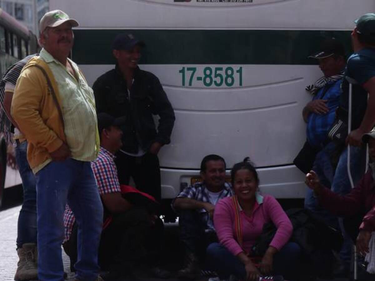 Pagarán incentivo a los arroceros de Colombia